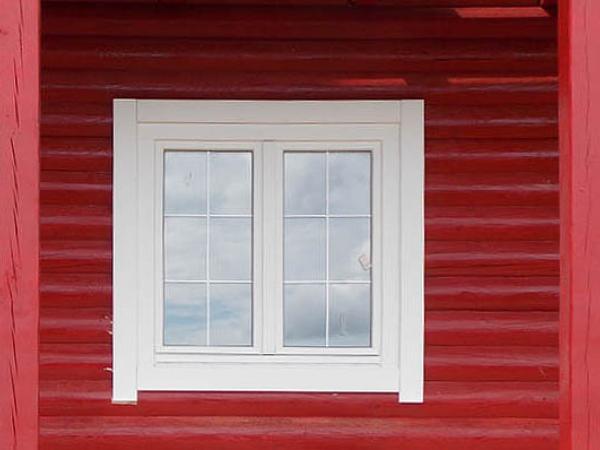white-pine-windows